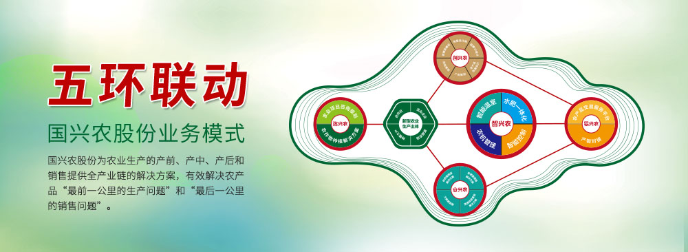 关注国兴农