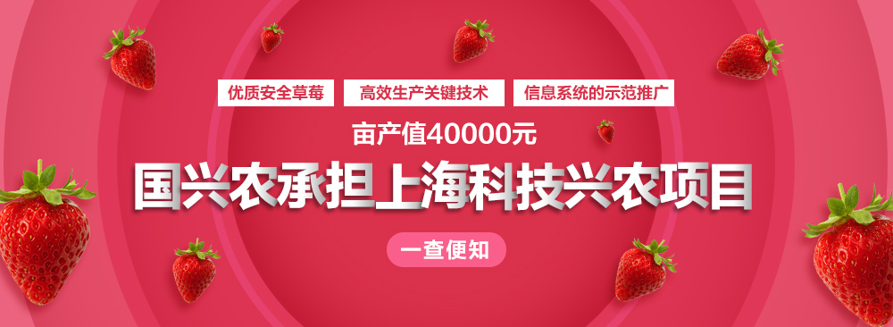 关注国兴农
